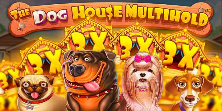 The Dog House Multihold: Anjing Pembawa Rezeki!